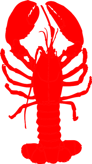 lobster-gc91d5de1f_640